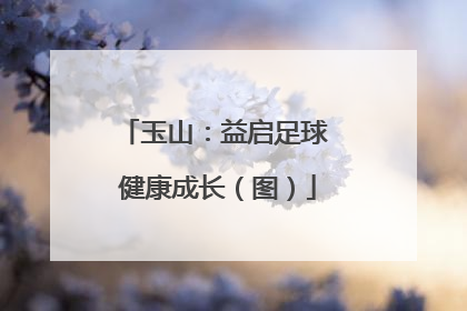 玉山：益启足球 健康成长（图）