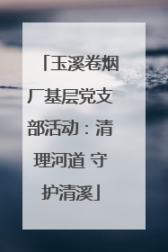 玉溪卷烟厂基层党支部活动：清理河道 守护清溪