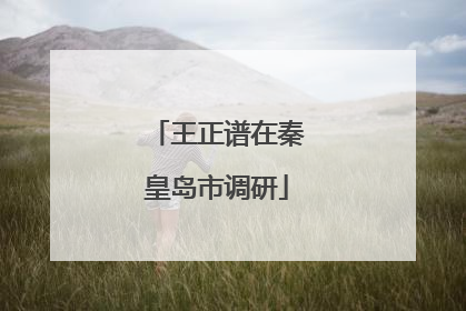 王正谱在秦皇岛市调研