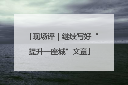现场评｜继续写好“提升一座城”文章