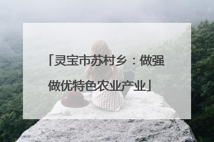 灵宝市苏村乡：做强做优特色农业产业