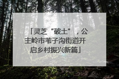 灵芝“破土”，公主岭市苇子沟街道开启乡村振兴新篇