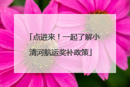 点进来！一起了解小清河航运奖补政策
