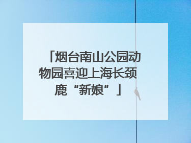 烟台南山公园动物园喜迎上海长颈鹿“新娘”