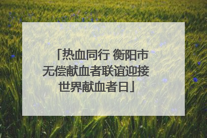 热血同行 衡阳市无偿献血者联谊迎接世界献血者日