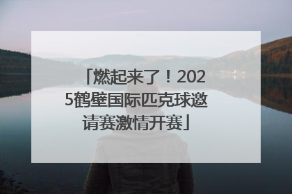 燃起来了！2025鹤壁国际匹克球邀请赛激情开赛