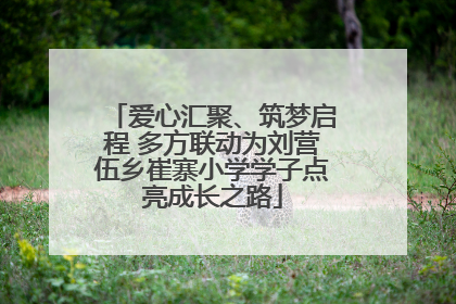 爱心汇聚、筑梦启程 多方联动为刘营伍乡崔寨小学学子点亮成长之路
