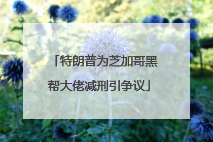特朗普为芝加哥黑帮大佬减刑引争议