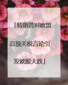 特朗普对欧盟高额关税言论引发欧股大跌