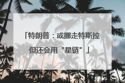 特朗普：或挪走特斯拉 但还会用“星链”