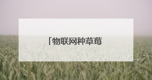 物联网种草莓 大数据卖黄瓜 临沂“四雁孵化”工程链动乡村共富
