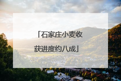 石家庄小麦收获进度约八成