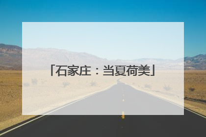 石家庄：当夏荷美