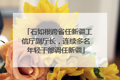 石如根跨省任新疆工信厅副厅长，连续多名年轻干部调任新疆