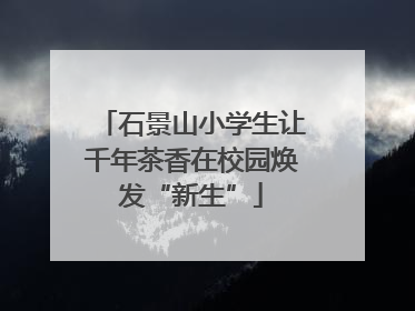 石景山小学生让千年茶香在校园焕发“新生”
