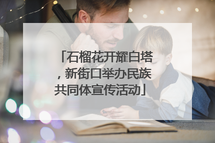 石榴花开耀白塔，新街口举办民族共同体宣传活动