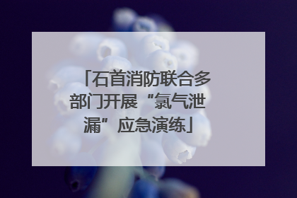 石首消防联合多部门开展“氯气泄漏”应急演练