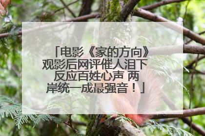 电影《家的方向》观影后网评催人泪下 反应百姓心声 两岸统一成最强音！