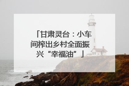 甘肃灵台：小车间榨出乡村全面振兴“幸福油”