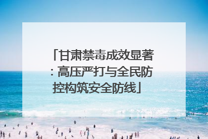 甘肃禁毒成效显著：高压严打与全民防控构筑安全防线