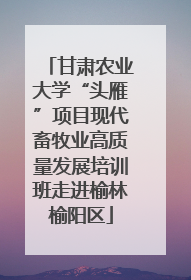 甘肃农业大学“头雁”项目现代畜牧业高质量发展培训班走进榆林榆阳区