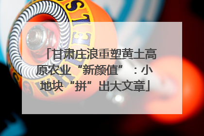 甘肃庄浪重塑黄土高原农业“新颜值”：小地块“拼”出大文章