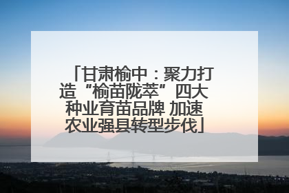 甘肃榆中：聚力打造“榆苗陇萃”四大种业育苗品牌 加速农业强县转型步伐