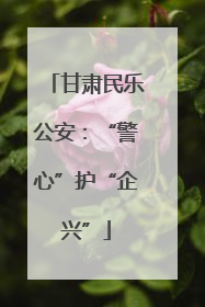 甘肃民乐公安：“警心”护“企兴”
