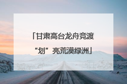 甘肃高台龙舟竞渡“划”亮荒漠绿洲