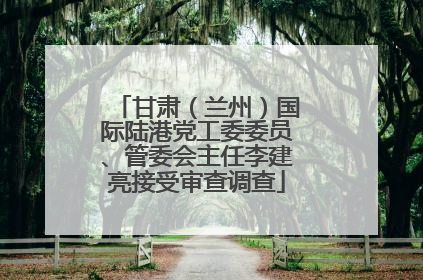 甘肃（兰州）国际陆港党工委委员、管委会主任李建亮接受审查调查