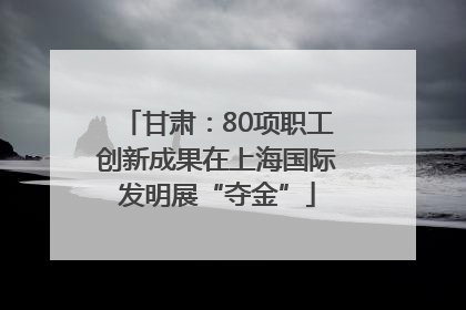 甘肃：80项职工创新成果在上海国际发明展“夺金”
