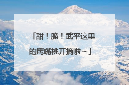 甜！脆！武平这里的鹰嘴桃开摘啦～