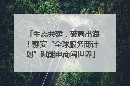 生态共建，破局出海！静安“全球服务商计划”赋能电商闯世界