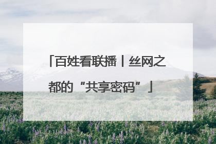百姓看联播丨丝网之都的“共享密码”