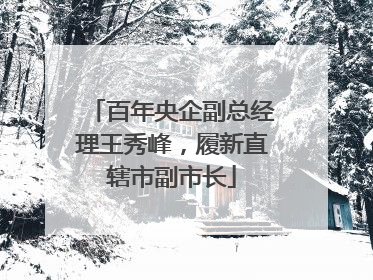百年央企副总经理王秀峰，履新直辖市副市长