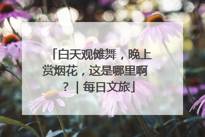 白天观傩舞，晚上赏烟花，这是哪里啊？｜每日文旅