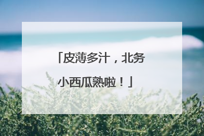 皮薄多汁，北务小西瓜熟啦！