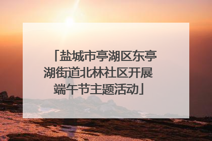 盐城市亭湖区东亭湖街道北林社区开展端午节主题活动