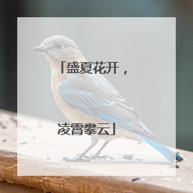 盛夏花开，凌霄攀云