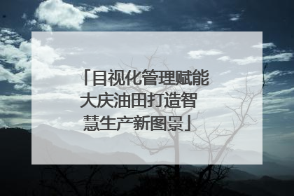 目视化管理赋能 大庆油田打造智慧生产新图景