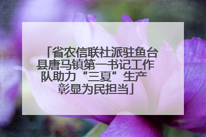 省农信联社派驻鱼台县唐马镇第一书记工作队助力“三夏”生产 彰显为民担当