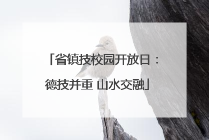 省镇技校园开放日：德技并重 山水交融