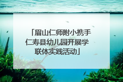 眉山仁师附小携手仁寿县幼儿园开展学联体实践活动