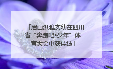 眉山洪雅实幼在四川省“奔跑吧•少年”体育大会中获佳绩