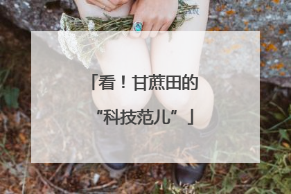 看！甘蔗田的“科技范儿”