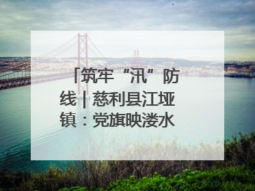 筑牢“汛”防线｜慈利县江垭镇：党旗映溇水 清淤见担当