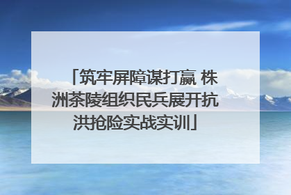 筑牢屏障谋打赢 株洲茶陵组织民兵展开抗洪抢险实战实训