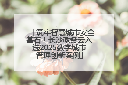 筑牢智慧城市安全基石！长沙政务云入选2025数字城市管理创新案例
