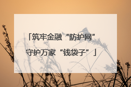 筑牢金融“防护网” 守护万家“钱袋子”