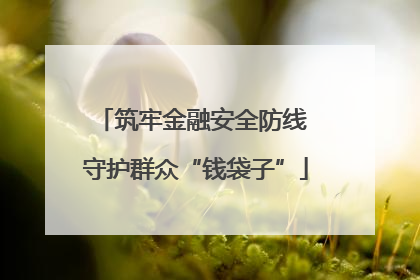 筑牢金融安全防线 守护群众“钱袋子”